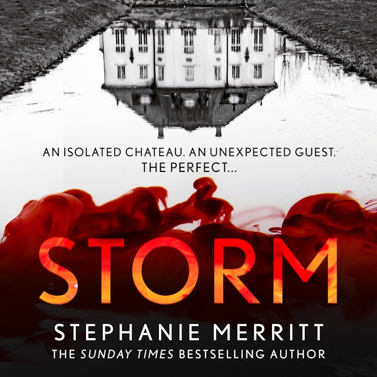 Cover image for Storm: The gripping new escapist thriller from the Sunday Times bestselling author, isbn: 9780008248291