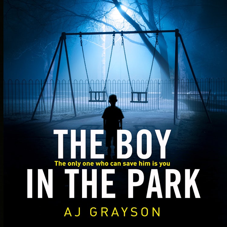Cover image for The Boy in the Park: A gripping psychological thriller with a shocking twist, isbn: 9780008248338