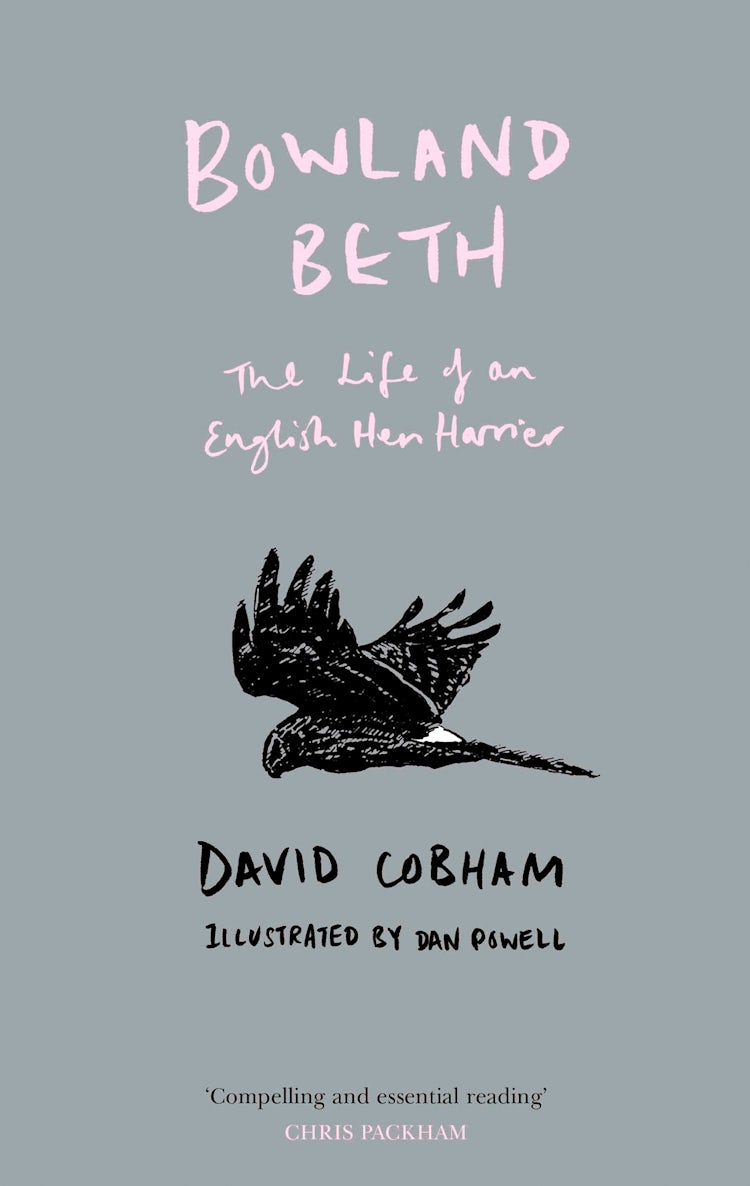 Cover image for Bowland Beth: The Life Of An English Hen Harrier, isbn: 9780008251895