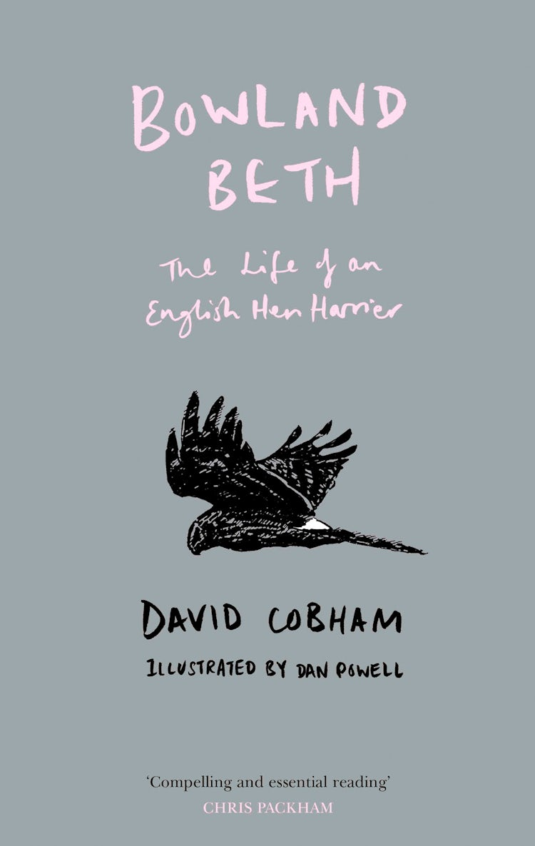Cover image for Bowland Beth: The Life of an English Hen Harrier, isbn: 9780008251925