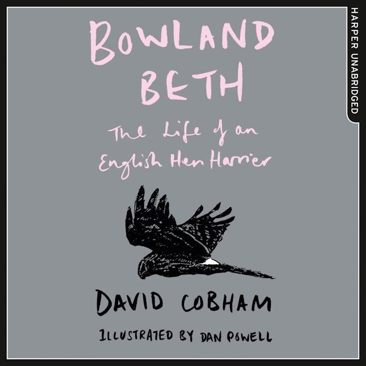 Cover image for Bowland Beth: The Life of an English Hen Harrier, isbn: 9780008251932