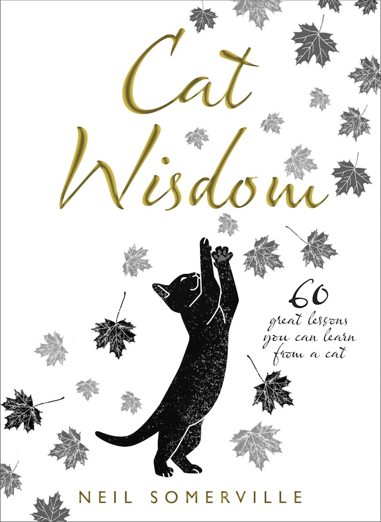 Cover image for Cat Wisdom: 60 great lessons you can learn from a cat, isbn: 9780008252762