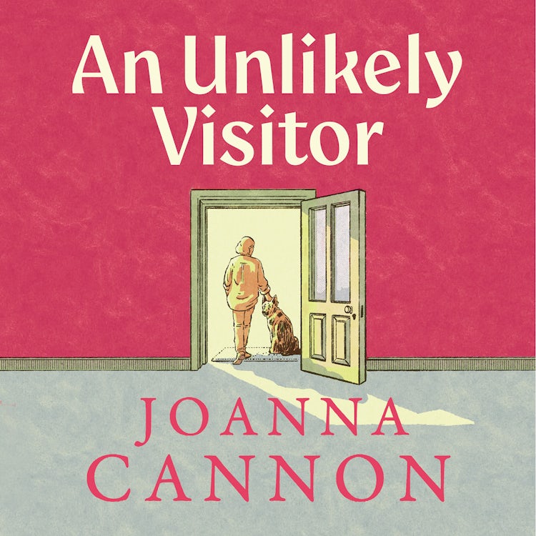 Cover image for An Unlikely Visitor: The funny and poignant new novel from the Sunday Times bestselling and Women’s Prize longlisted author, isbn: 9780008255114