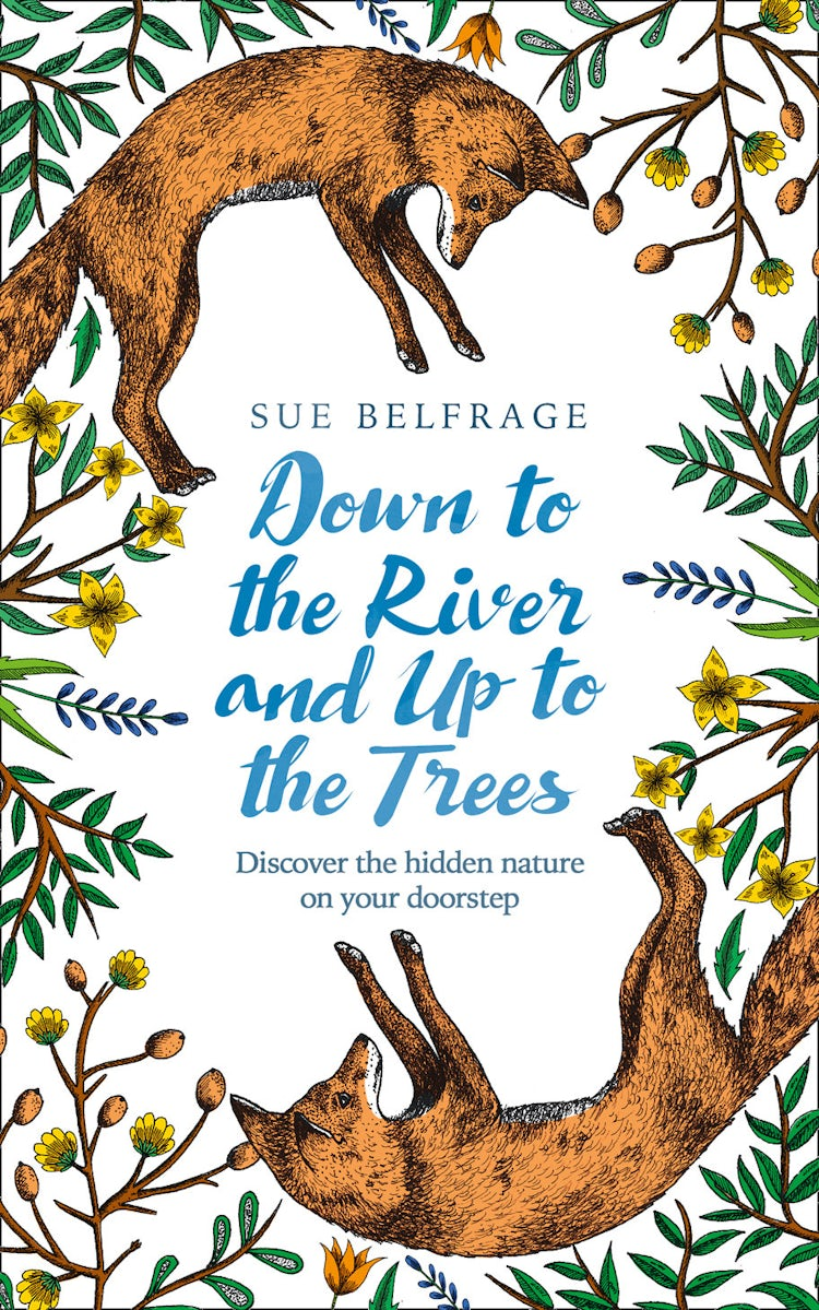 Cover image for Down to the River and Up to the Trees: Discover the hidden nature on your doorstep, isbn: 9780008255275