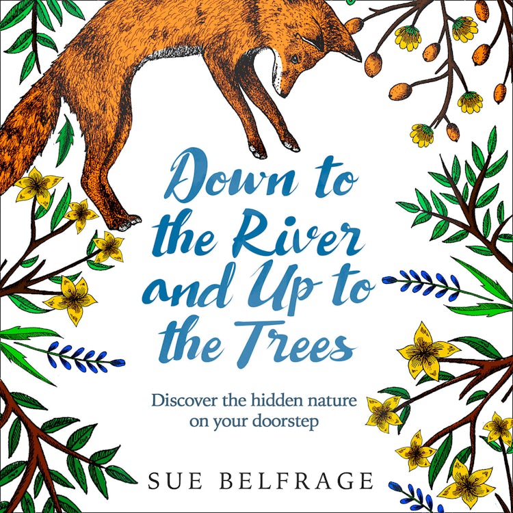 Cover image for Down to the River and Up to the Trees: Discover the hidden nature on your doorstep, isbn: 9780008255282