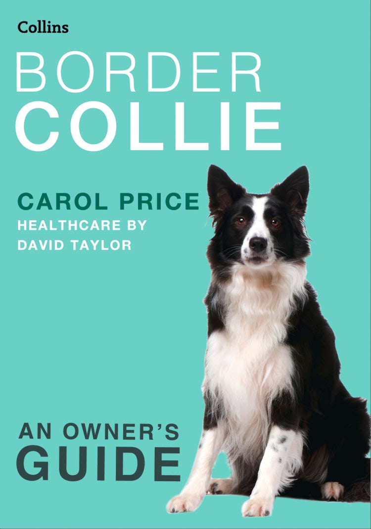 Cover image for Border Collie (Collins Dog Owner’s Guide), isbn: 9780008259075
