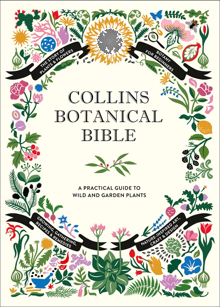 Cover image for Collins Botanical Bible: A Practical Guide to Wild and Garden Plants, isbn: 9780008262273