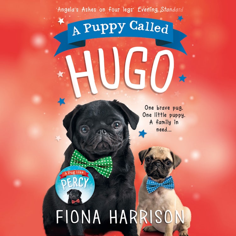 Cover image for A Puppy Called Hugo, isbn: 9780008264697