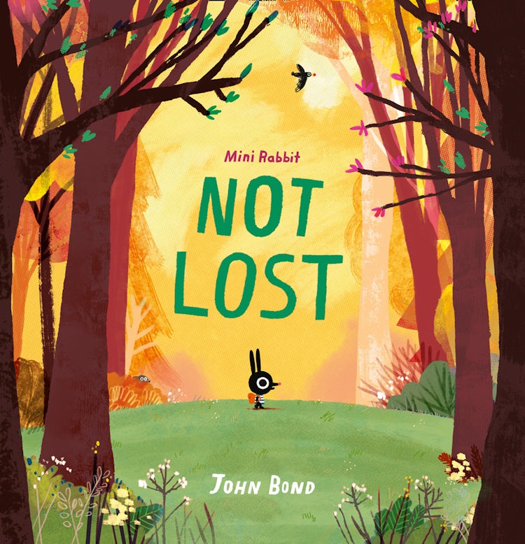 Cover image for Mini Rabbit (1) - Not Lost, isbn: 9780008264840
