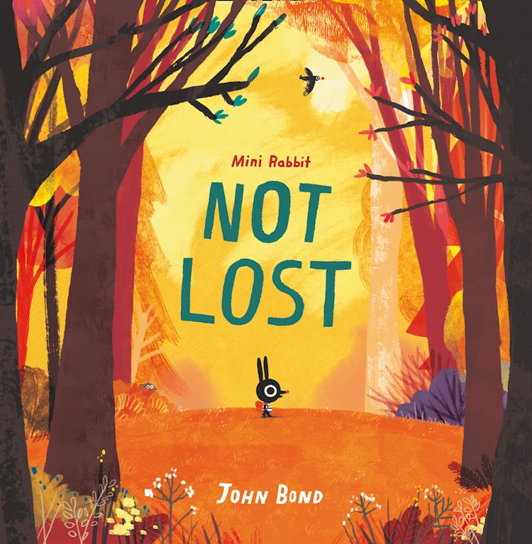 Cover image for Mini Rabbit Not Lost (Mini Rabbit), isbn: 9780008264857