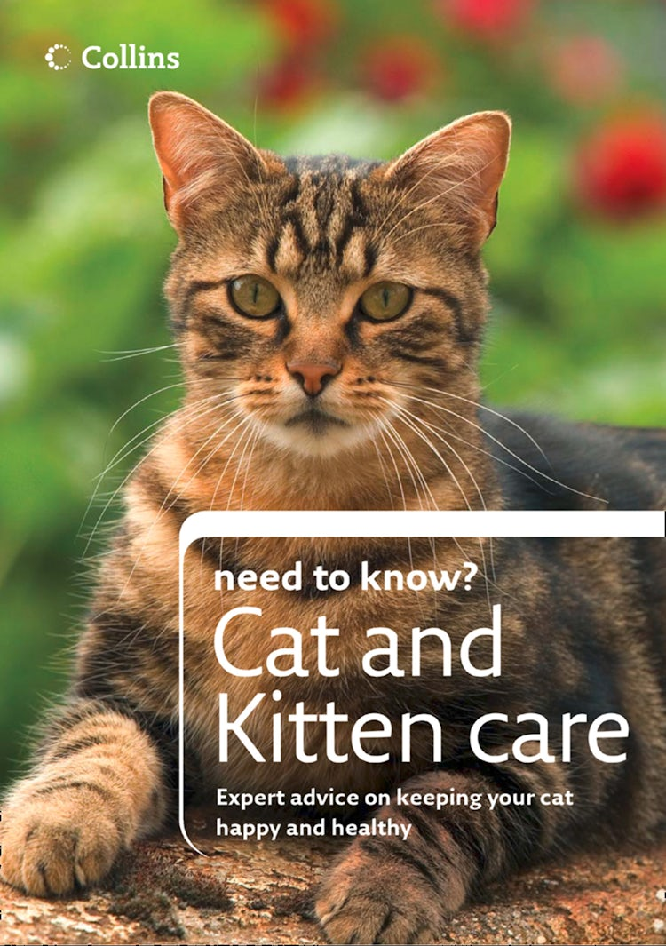 Cover image for Cat and Kitten Care (Collins Need to Know?), isbn: 9780008269258