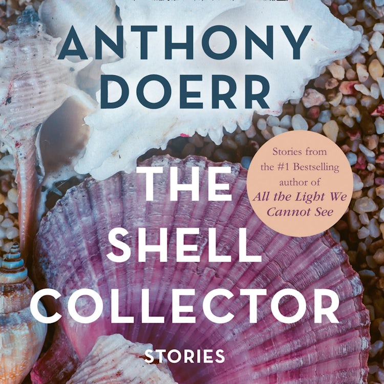 Cover image for The Shell Collector, isbn: 9780008270117