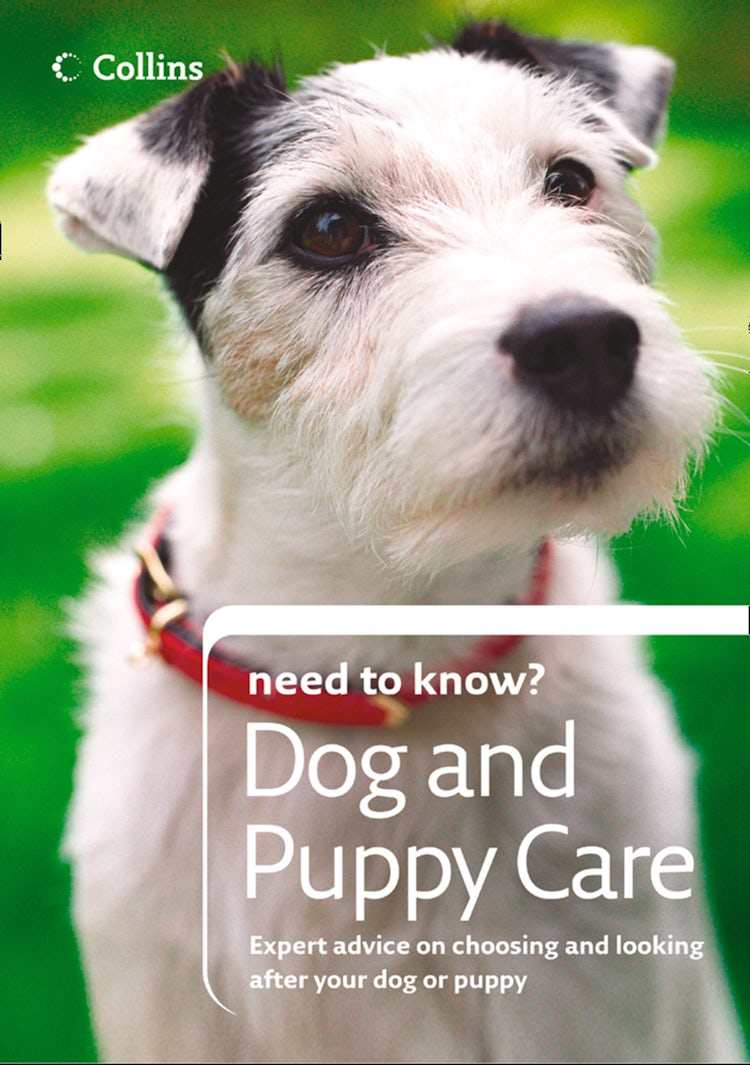 Cover image for Dog and Puppy Care (Collins Need to Know?), isbn: 9780008270384