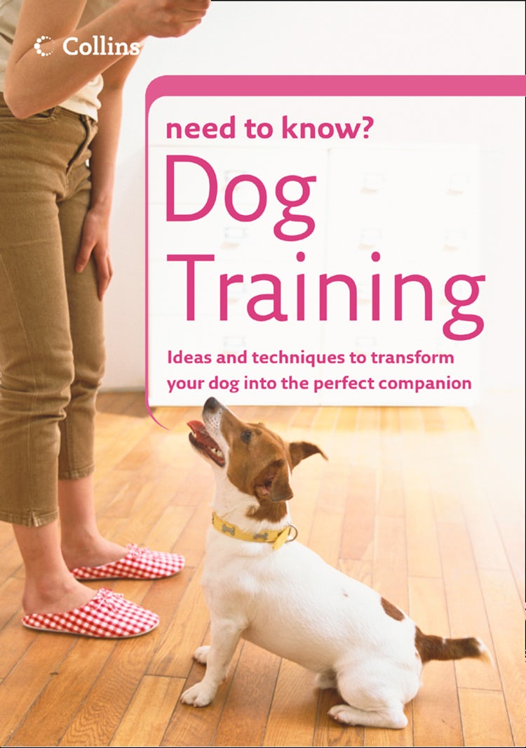 Cover image for Dog Training (Collins Need to Know?), isbn: 9780008270629