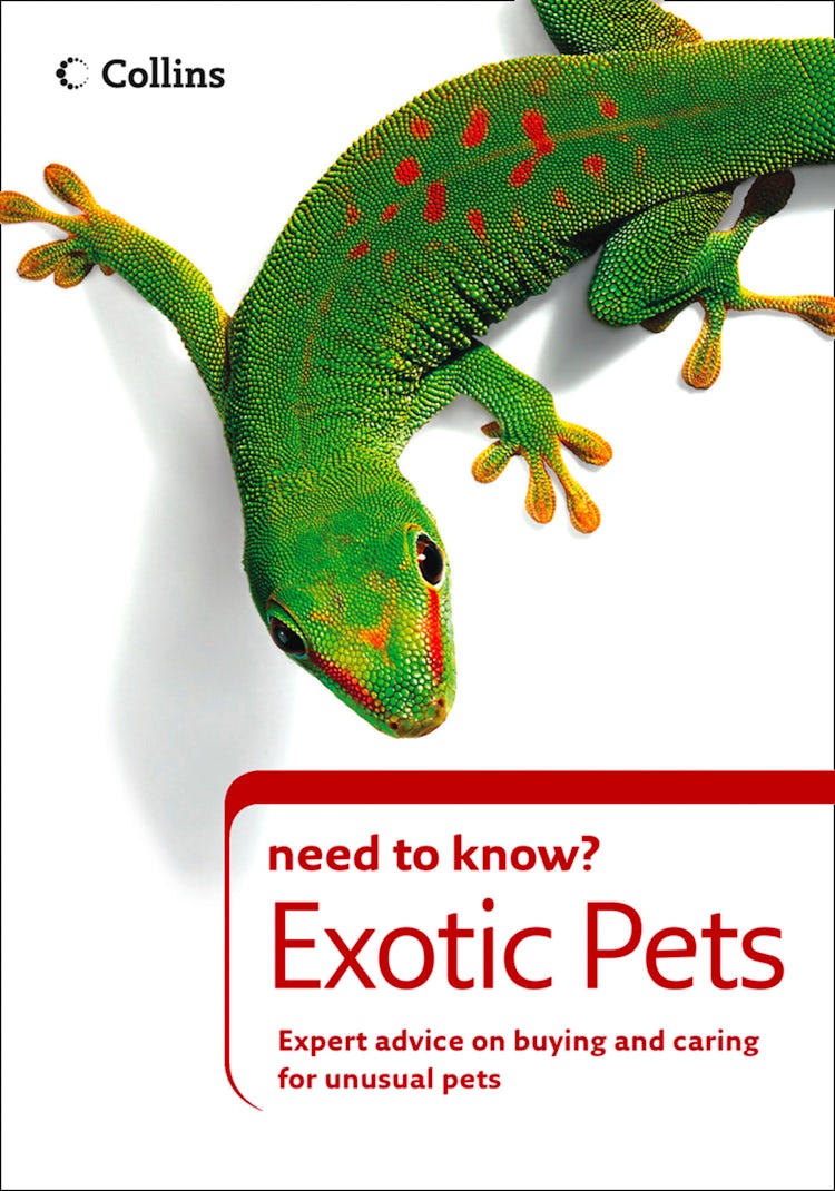 Cover image for Exotic Pets (Collins Need to Know?), isbn: 9780008270698