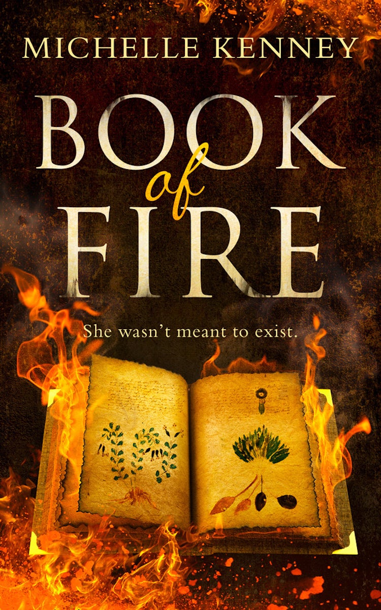 Cover image for Book of Fire (The Book of Fire series, Book 1), isbn: 9780008271541
