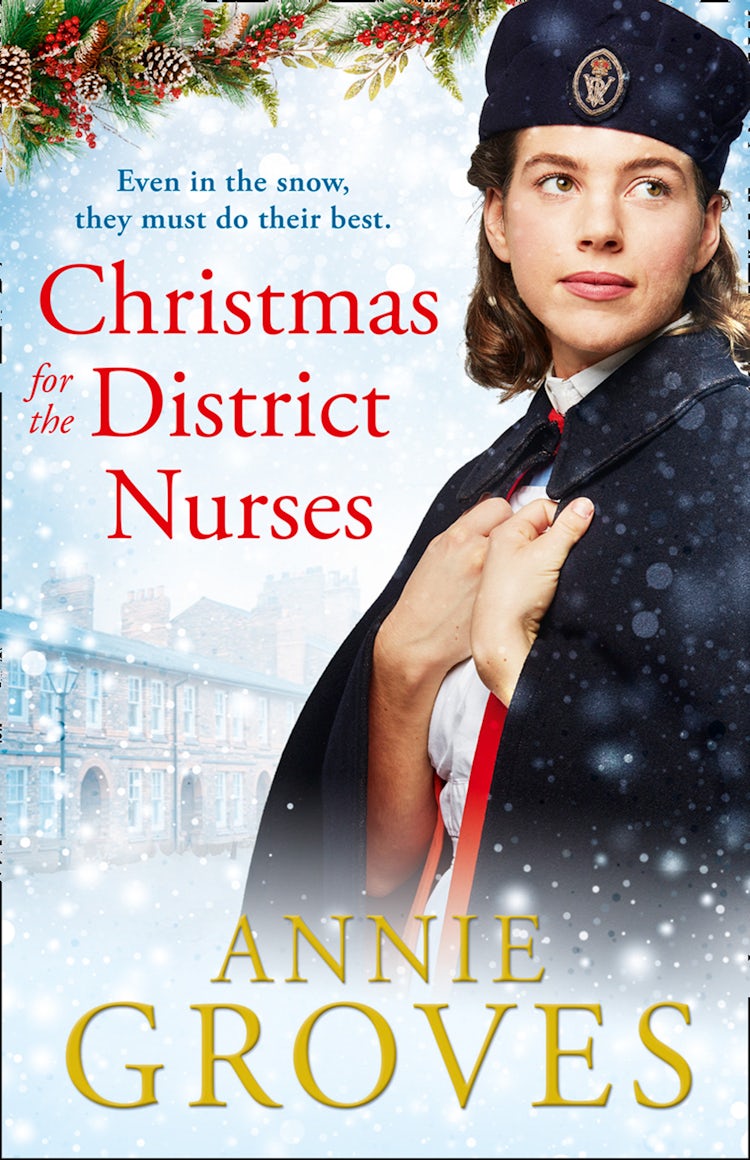 Cover image for Christmas for the District Nurses (The District Nurses, Book 3), isbn: 9780008272289
