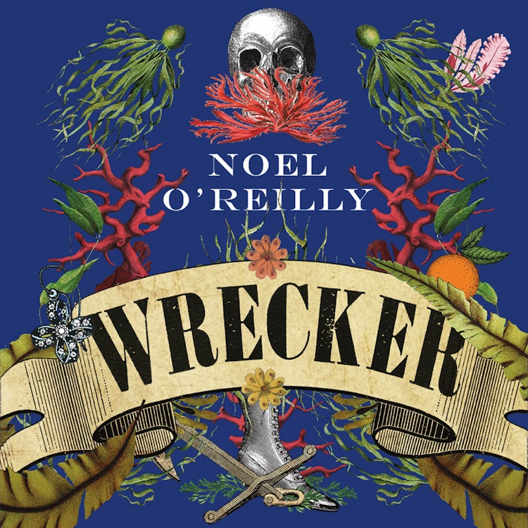 Cover image for Wrecker: A gripping debut for fans of Poldark and the Essex Serpent, isbn: 9780008274559