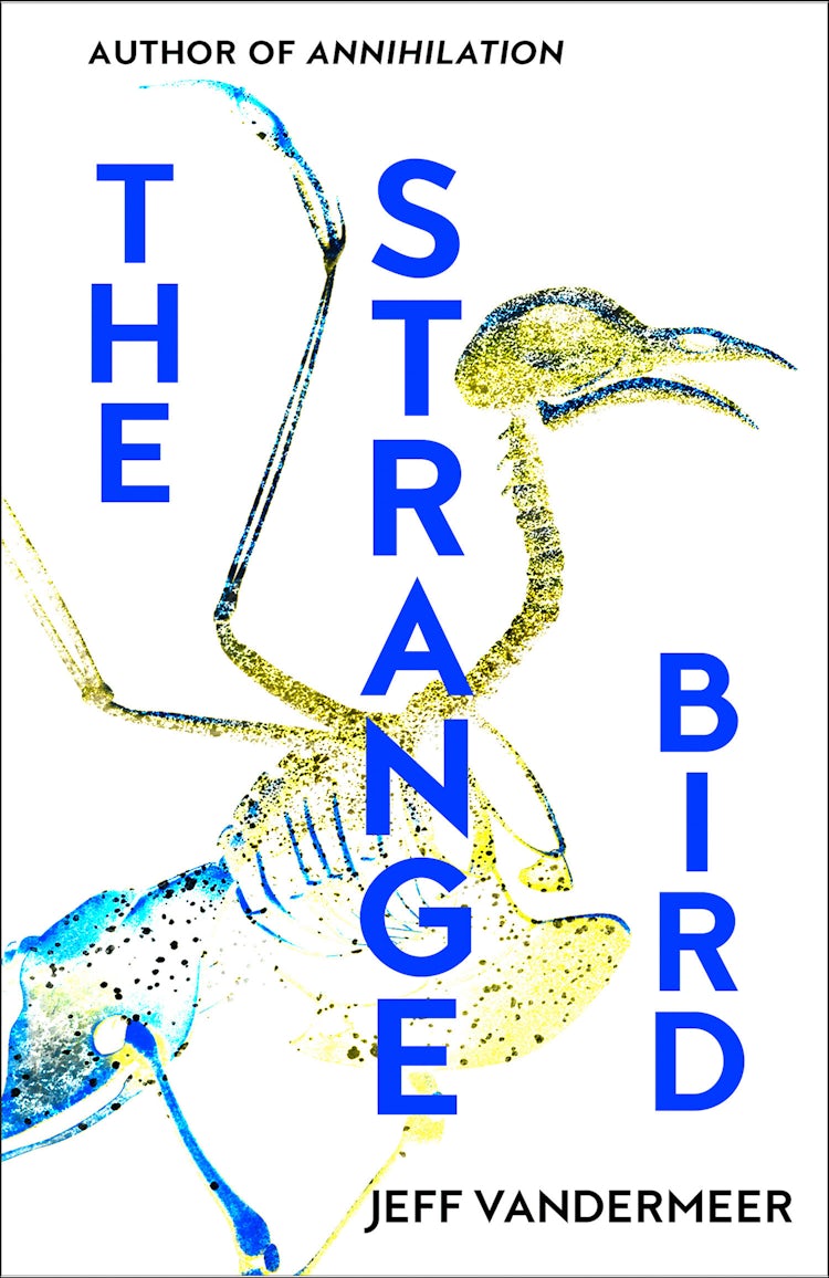 Cover image for The Strange Bird, isbn: 9780008283346