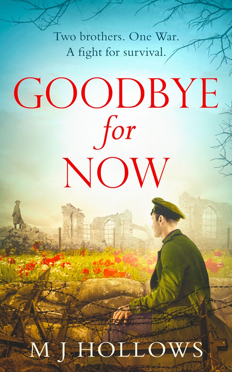 Cover image for Goodbye for Now, isbn: 9780008287962