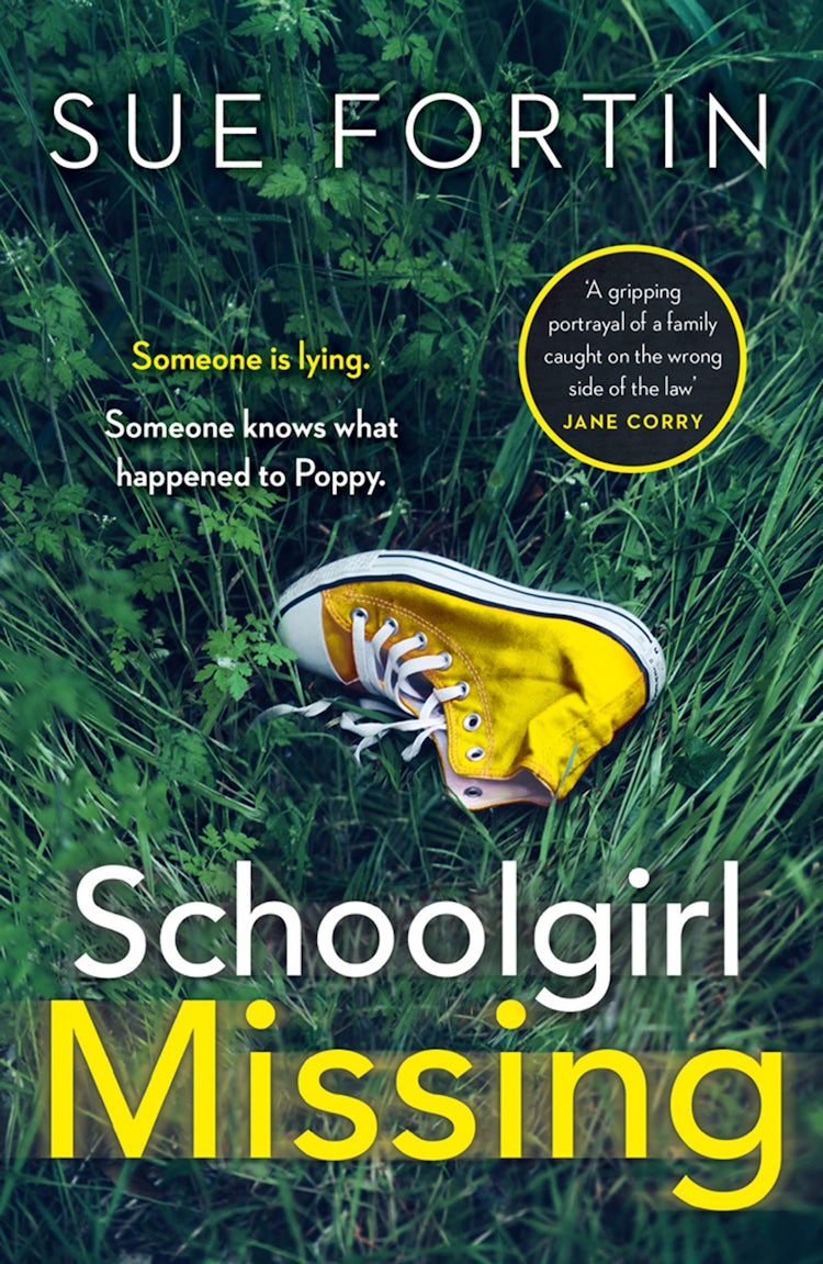 Cover image for Schoolgirl Missing, isbn: 9780008294489