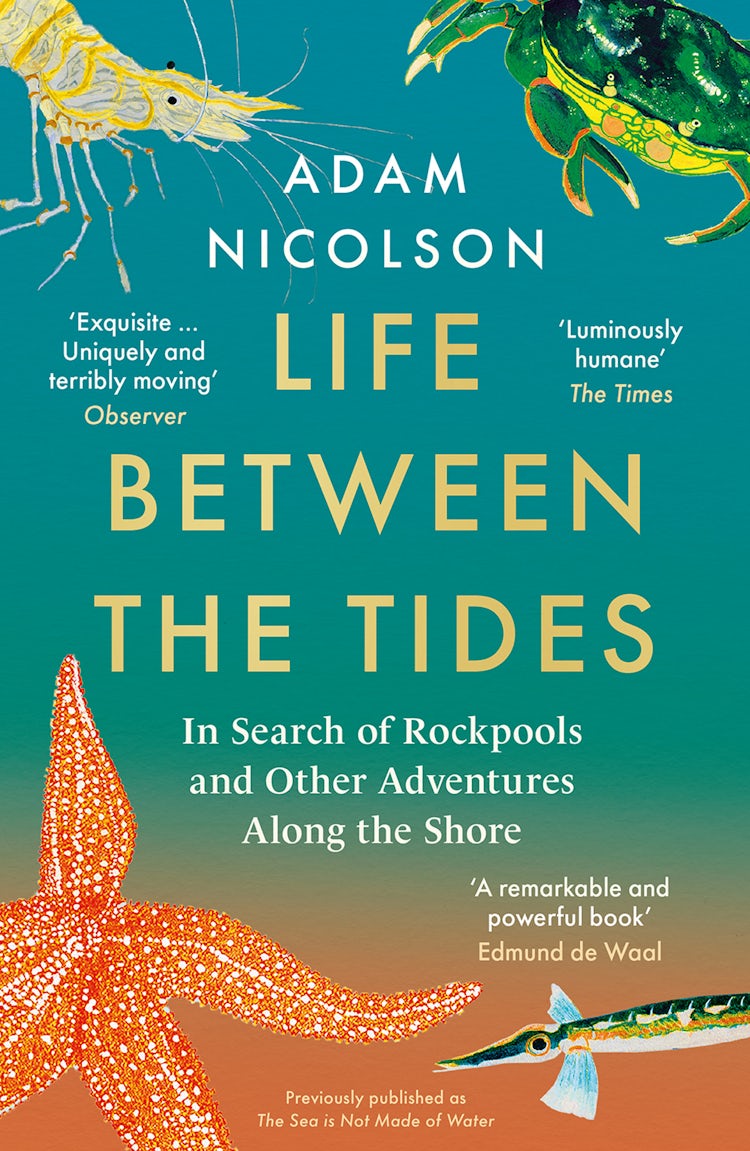 Cover image for Life Between the Tides: In Search of Rockpools and Other Adventures Along the Shore, isbn: 9780008294793