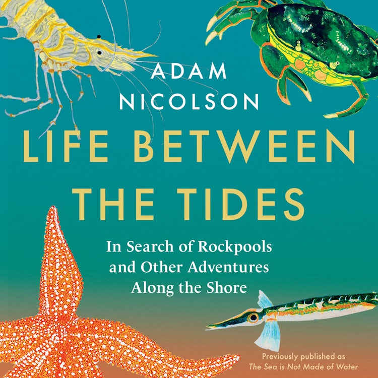Cover image for Life Between the Tides: In Search of Rockpools and Other Adventures Along the Shore, isbn: 9780008294809