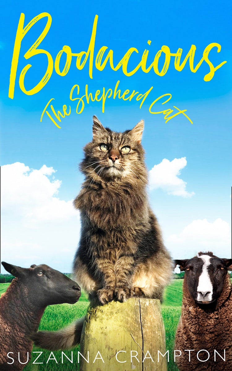 Cover image for Bodacious: The Shepherd Cat, isbn: 9780008295752