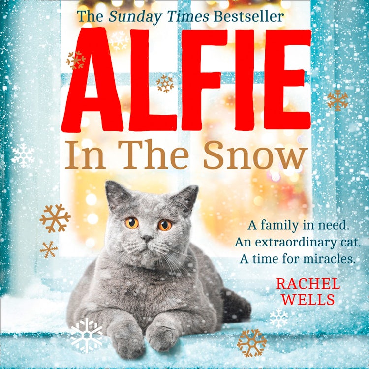 Cover image for Alfie in the Snow (Alfie series, Book 5), isbn: 9780008295783