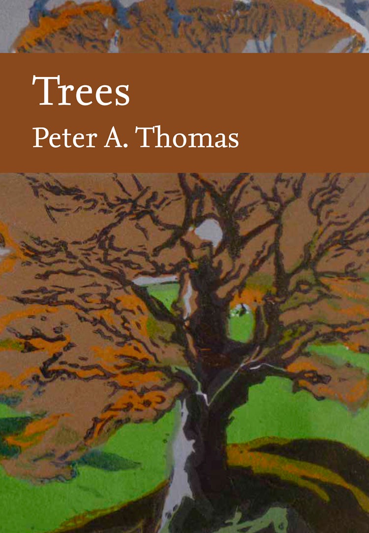 Cover image for Trees (Collins New Naturalist Library), isbn: 9780008304522