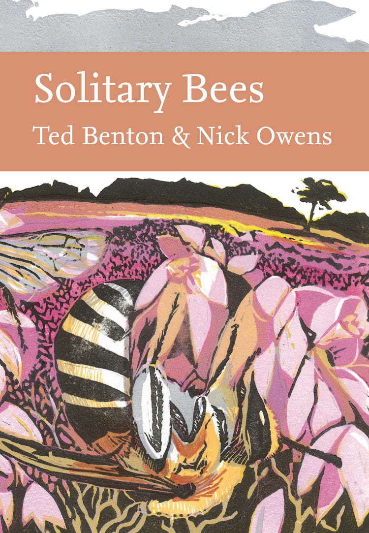 Cover image for Solitary Bees (Collins New Naturalist Library), isbn: 9780008304560