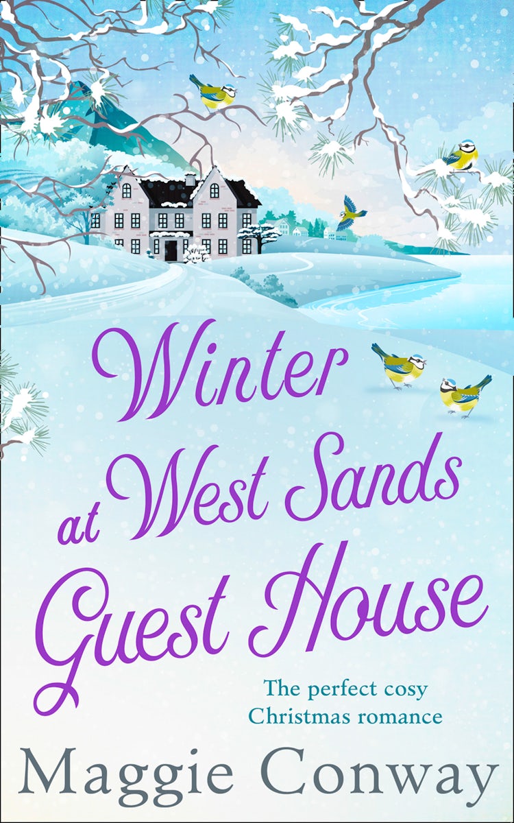 Cover image for Winter At West Sands Guest House, isbn: 9780008308612
