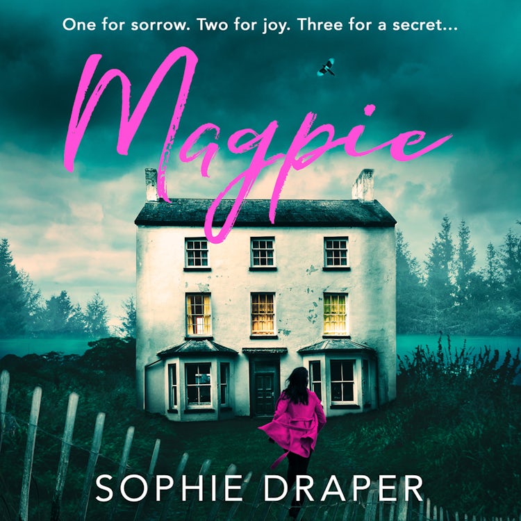Cover image for Magpie: The gripping psychological suspense thriller with a twist for fans of Mark Edwards, isbn: 9780008311339