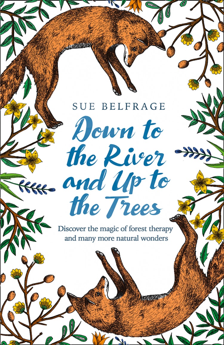Cover image for Down to the River and up to the Trees: Discover the Magic of Forest Therapy and Many More Natural Wonders, isbn: 9780008313685