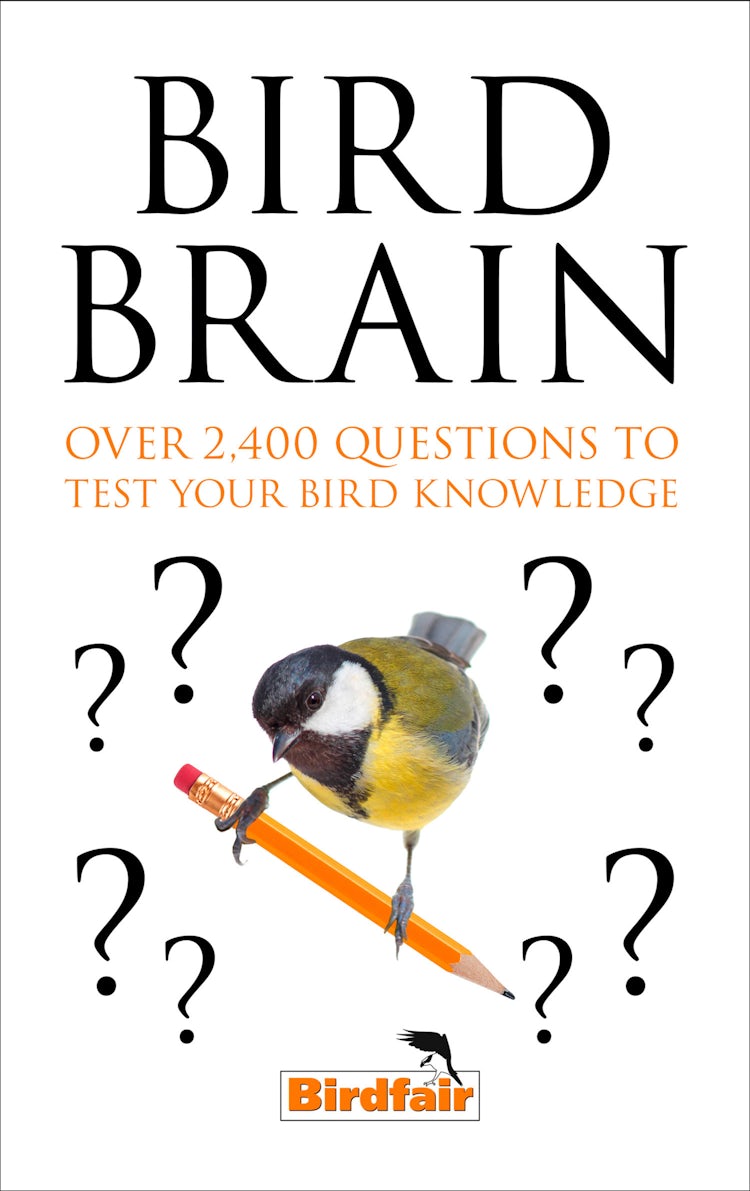 Cover image for Bird Brain: Over 2,400 Questions to Test Your Bird Knowledge, isbn: 9780008315740