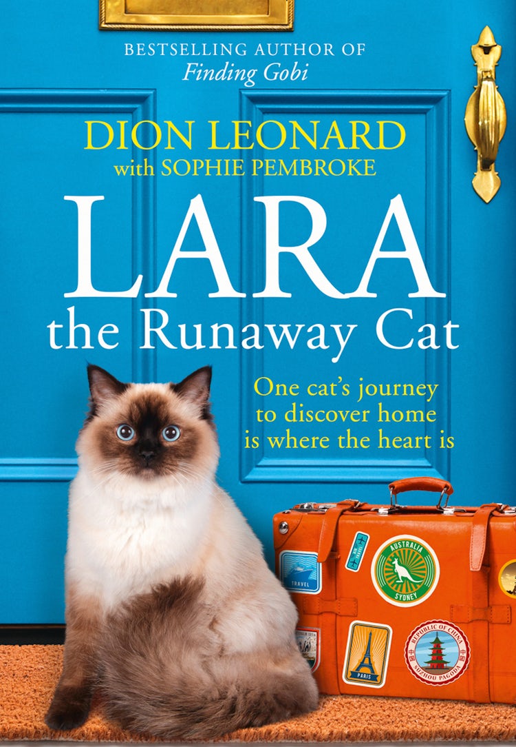 Cover image for Lara the Runaway Cat: How One Cat Travelled the World to Discover Home Is Where the Heart Is, isbn: 9780008316266