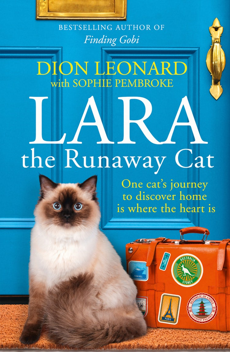 Cover image for Lara The Runaway Cat: One cat’s journey to discover home is where the heart is, isbn: 9780008316280