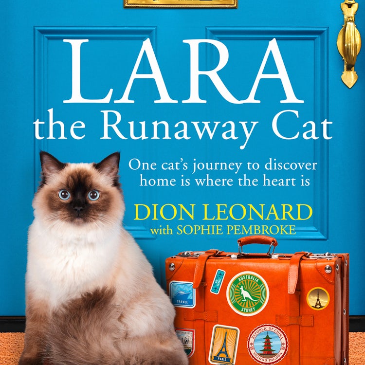 Cover image for Lara The Runaway Cat: One cat’s journey to discover home is where the heart is, isbn: 9780008316297
