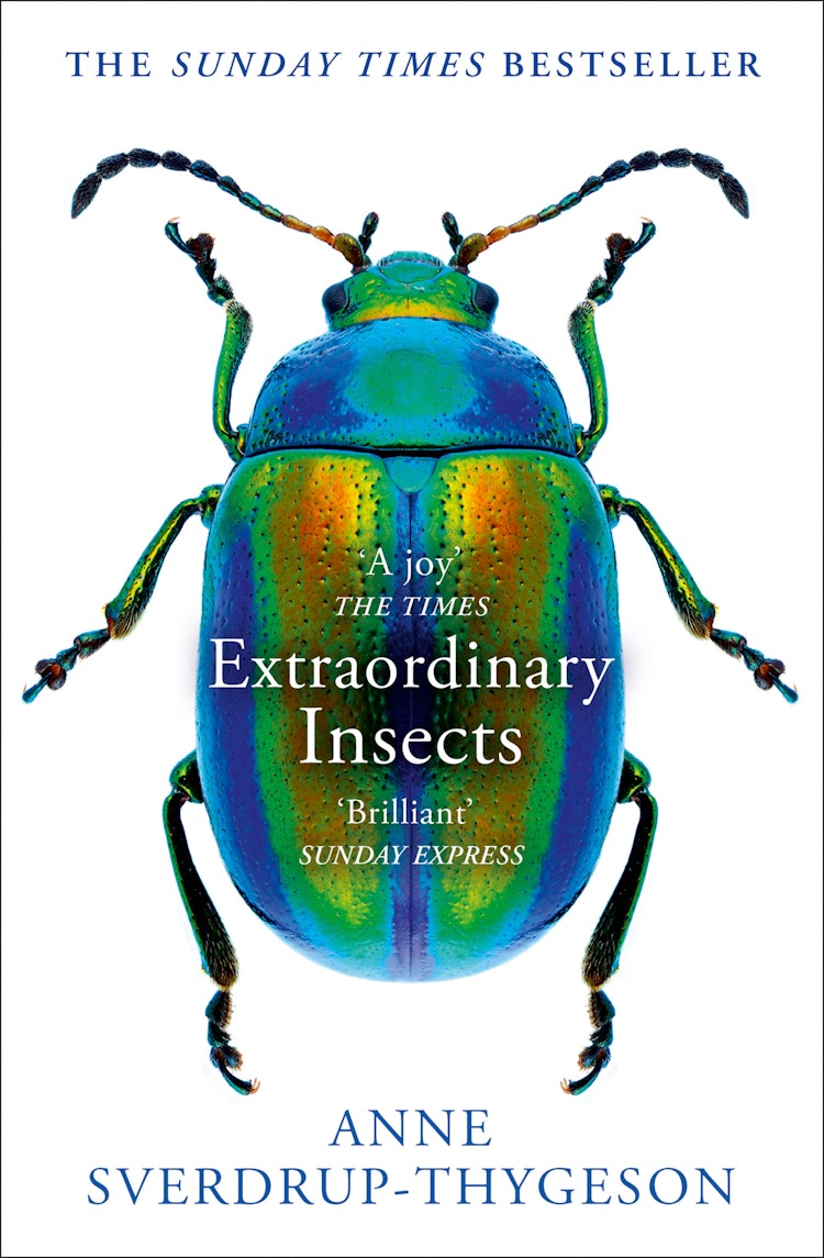 Cover image for Extraordinary Insects: Weird. Wonderful. Indispensable. The ones who run our world., isbn: 9780008316389