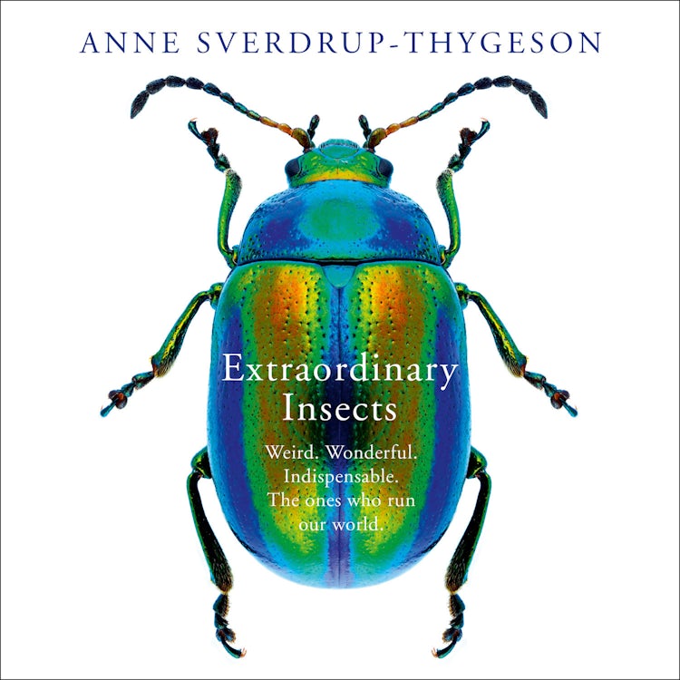 Cover image for Extraordinary Insects: Weird. Wonderful. Indispensable. The ones who run our world., isbn: 9780008316396