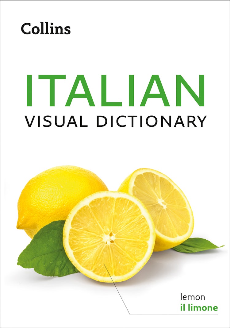 Cover image for Italian Visual Dictionary: A photo guide to everyday words and phrases in Italian (Collins Visual Dictionary), isbn: 9780008319960