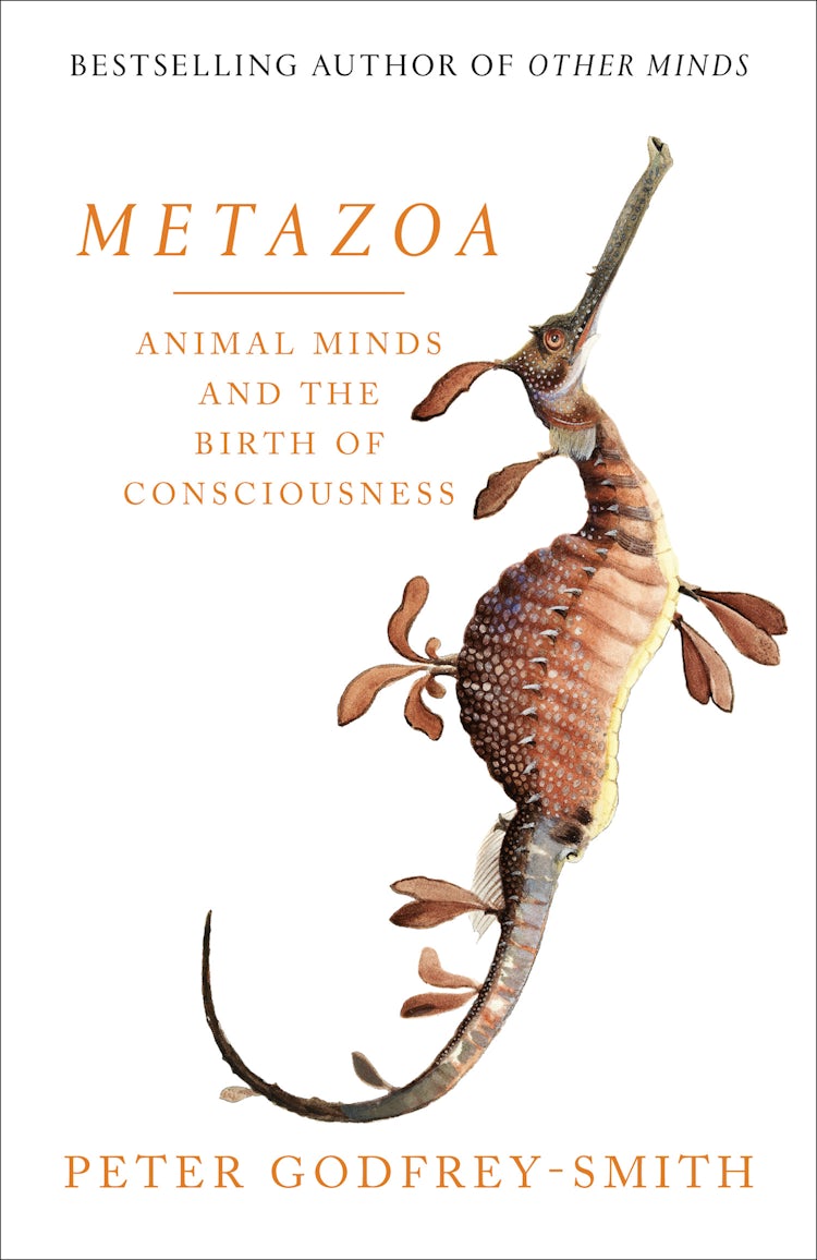Cover image for Metazoa: Animal Minds and the Birth of Consciousness, isbn: 9780008321215