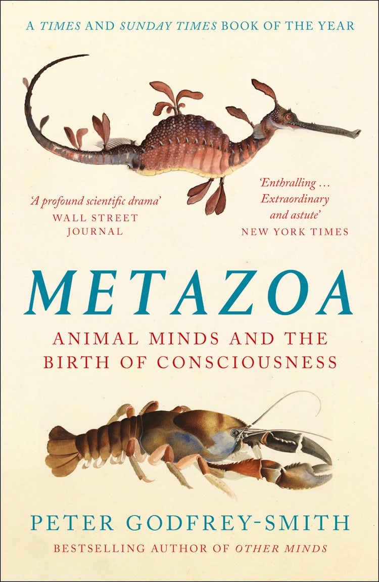 Cover image for Metazoa: Animal Minds and the Birth of Consciousness, isbn: 9780008321239