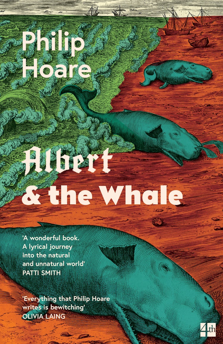 Cover image for Albert & the Whale, isbn: 9780008323325