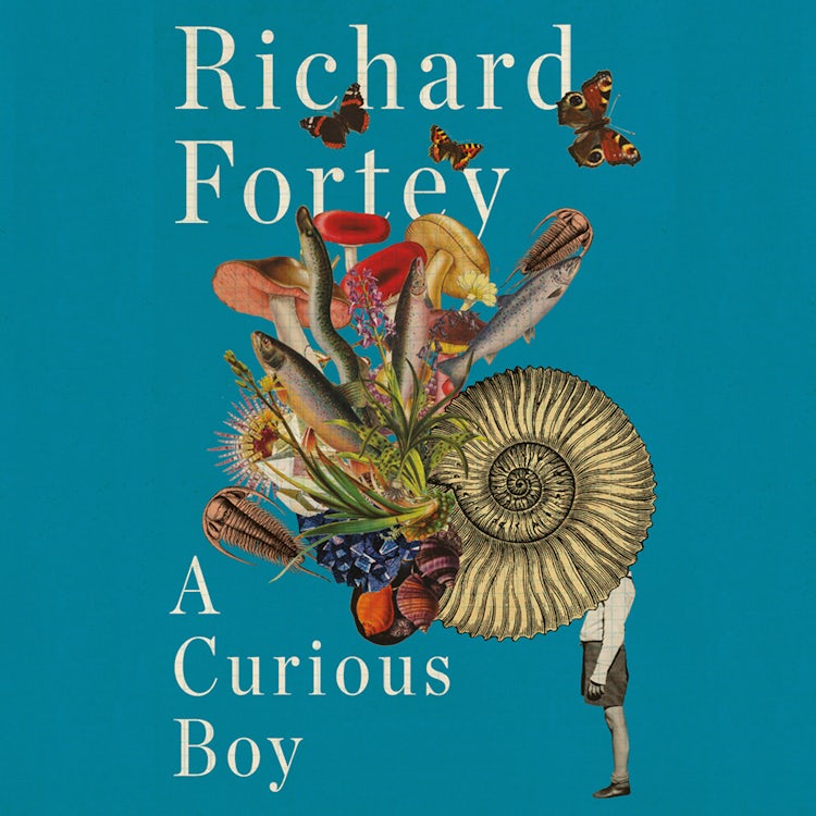 Cover image for A Curious Boy: The Making of a Scientist, isbn: 9780008323998