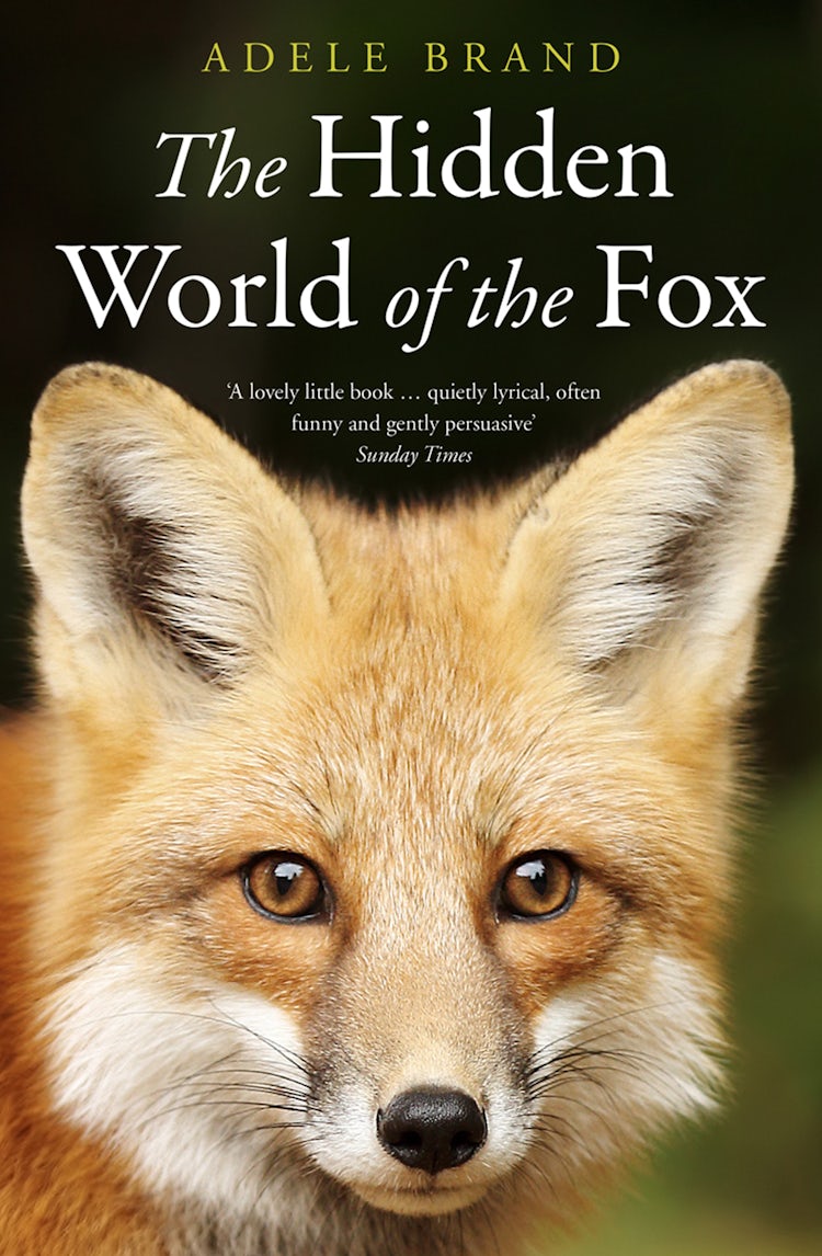 Cover image for The Hidden World of the Fox, isbn: 9780008327293