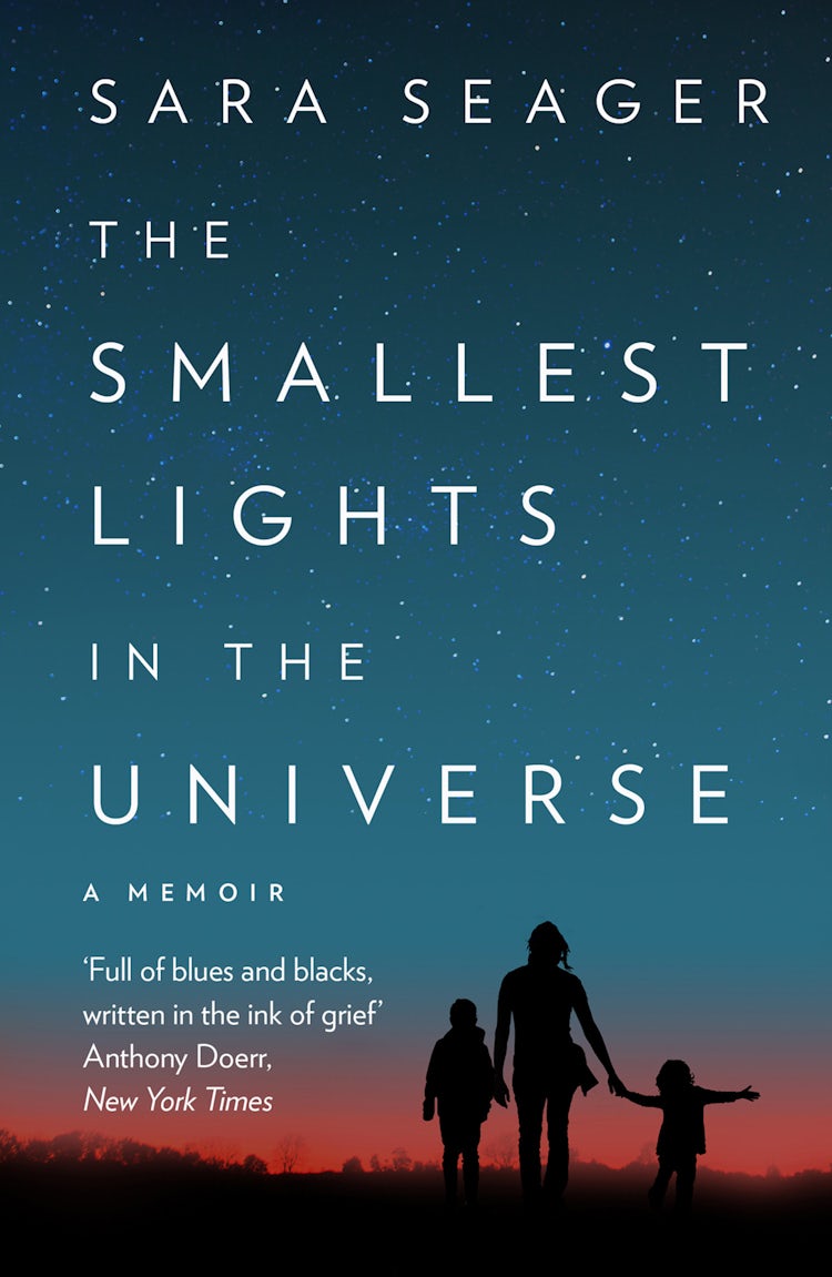 Cover image for The Smallest Lights In The Universe, isbn: 9780008328306
