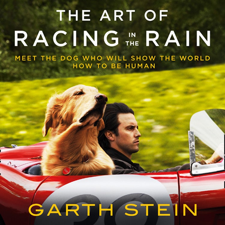 Cover image for The Art of Racing in the Rain, isbn: 9780008330651