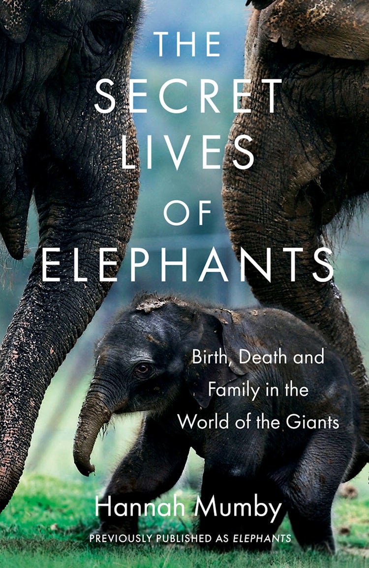 Cover image for The Secret Lives of Elephants: Birth, Death and Family in the World of the Giants, isbn: 9780008331719