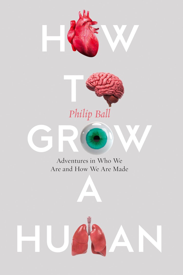 Cover image for How to Grow a Human: Adventures in Who We Are and How We Are Made, isbn: 9780008331795